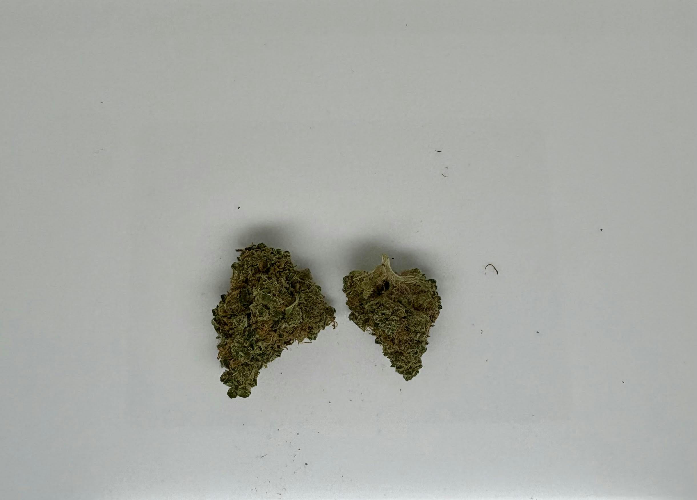 Tangie 1g Flower 18.77% THC by ALASKAbuds