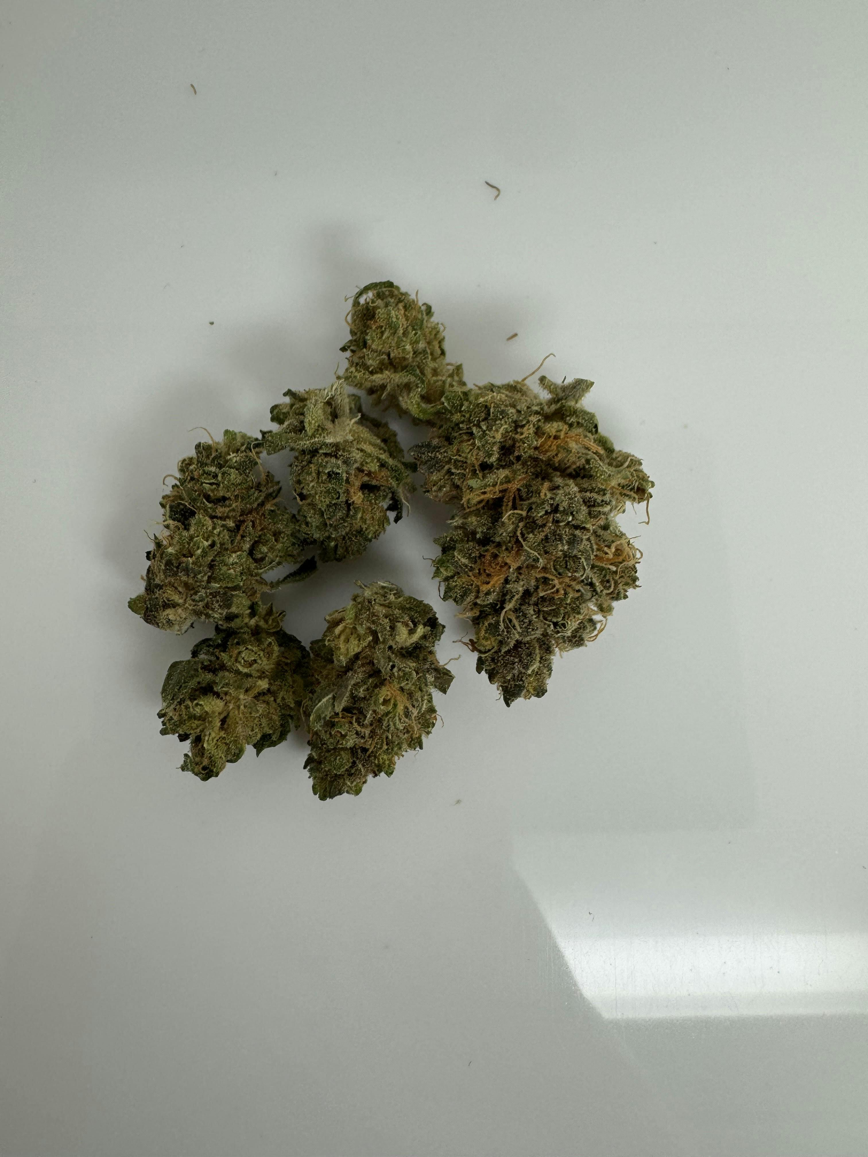 Runtz 3.5g Flower 22.82% THC by Alaskabuds
