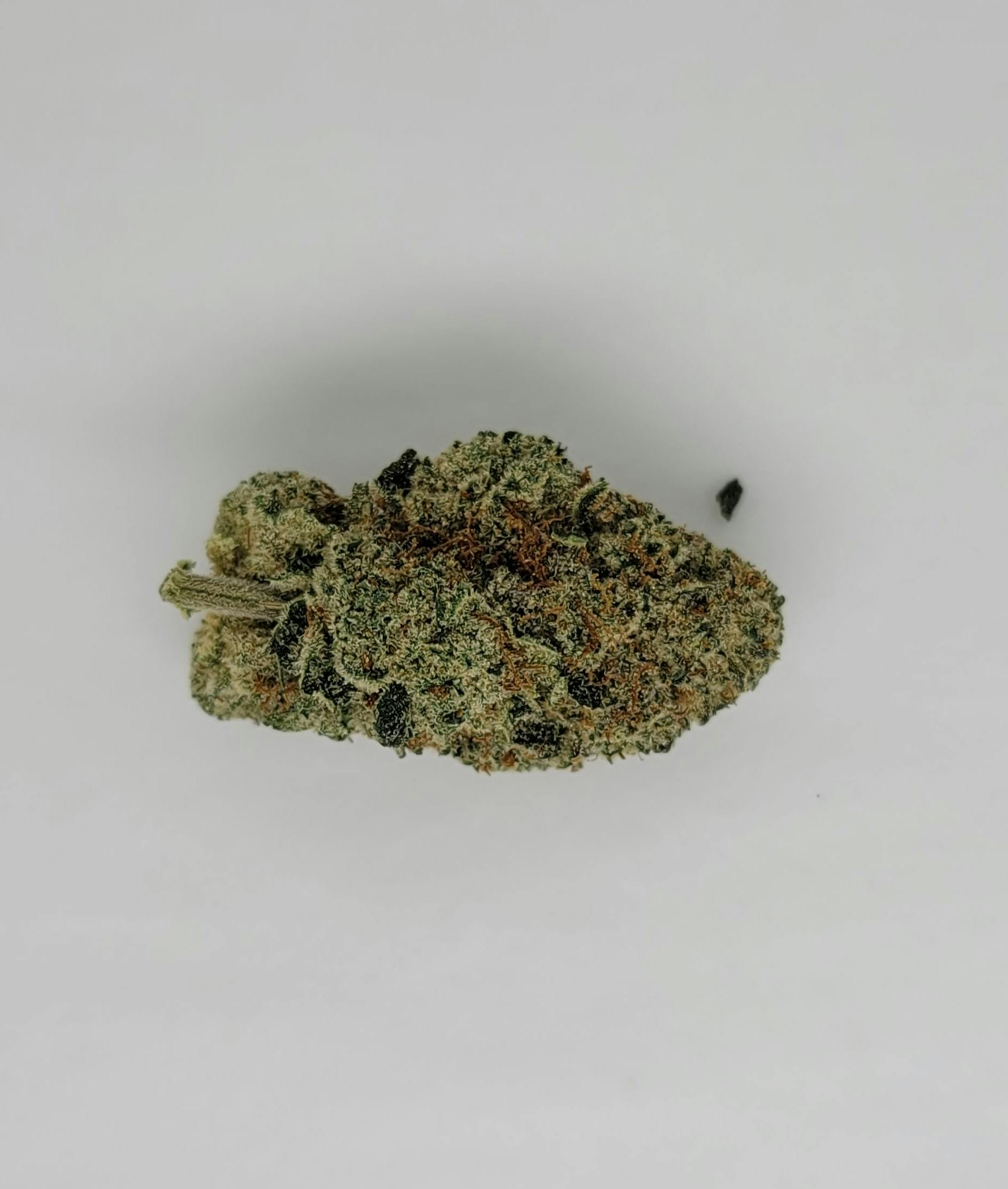 Jokerz Candy 31.85% THC 1g Flower by Kasilof Cannabis