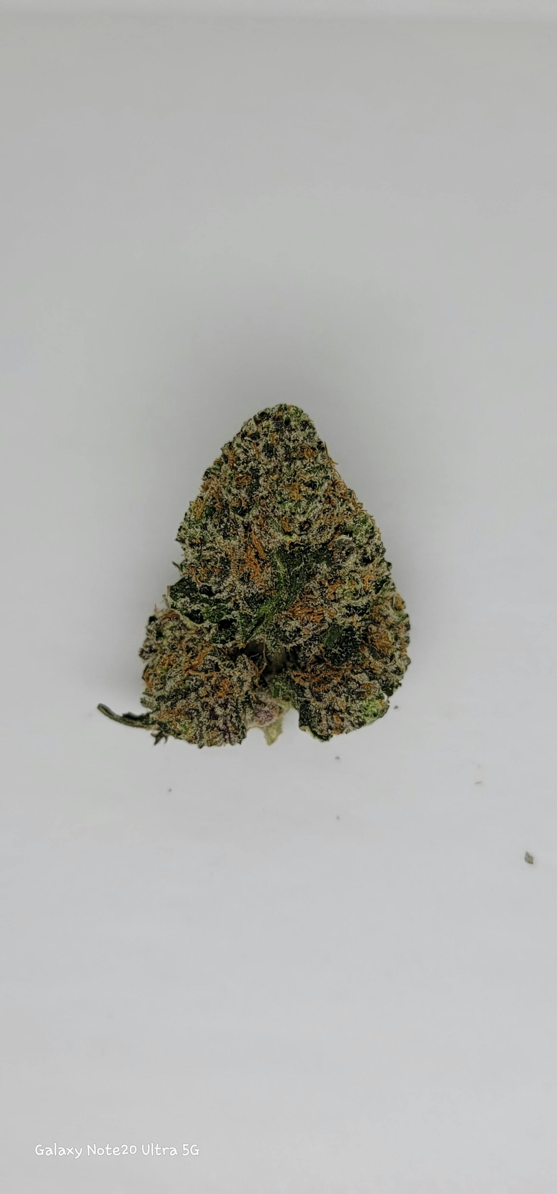 OG Kush 1g Flower 19.00% THC by Alaskabuds