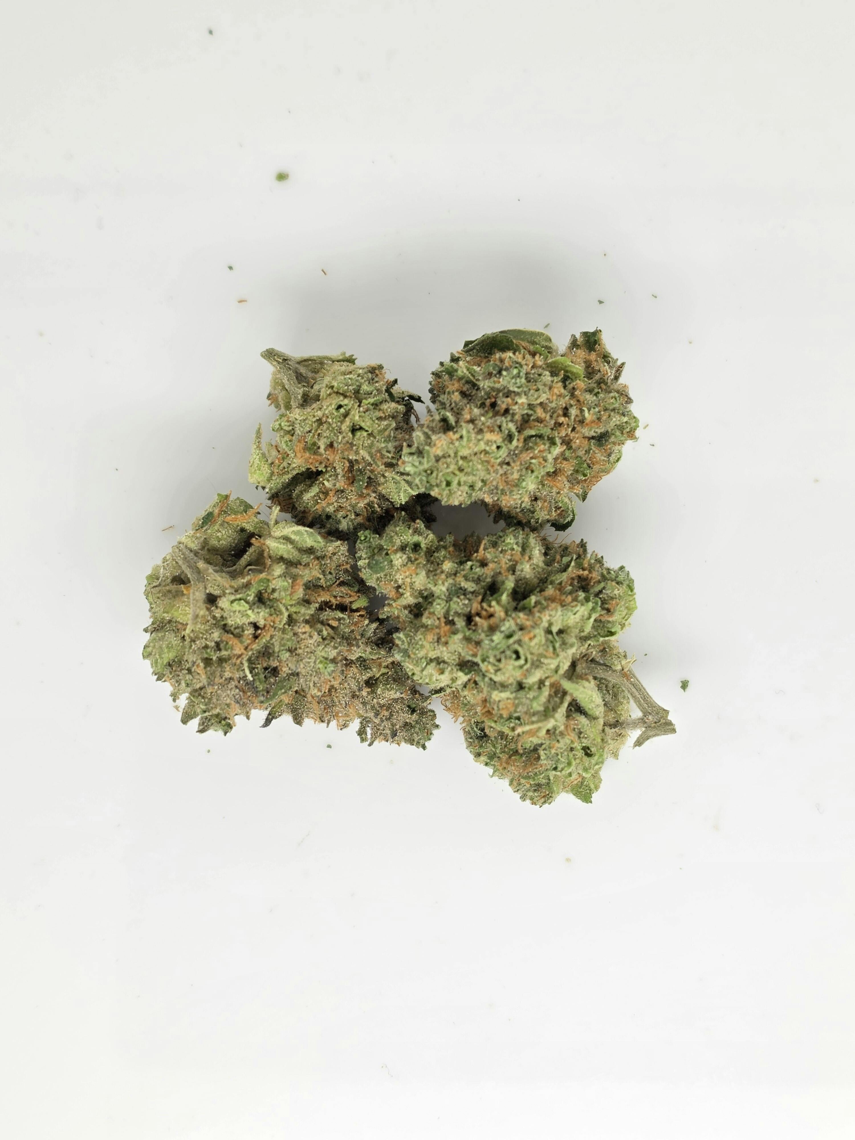 Humbolt Afgani 1g Flower 18.70% THC by Alaskabuds