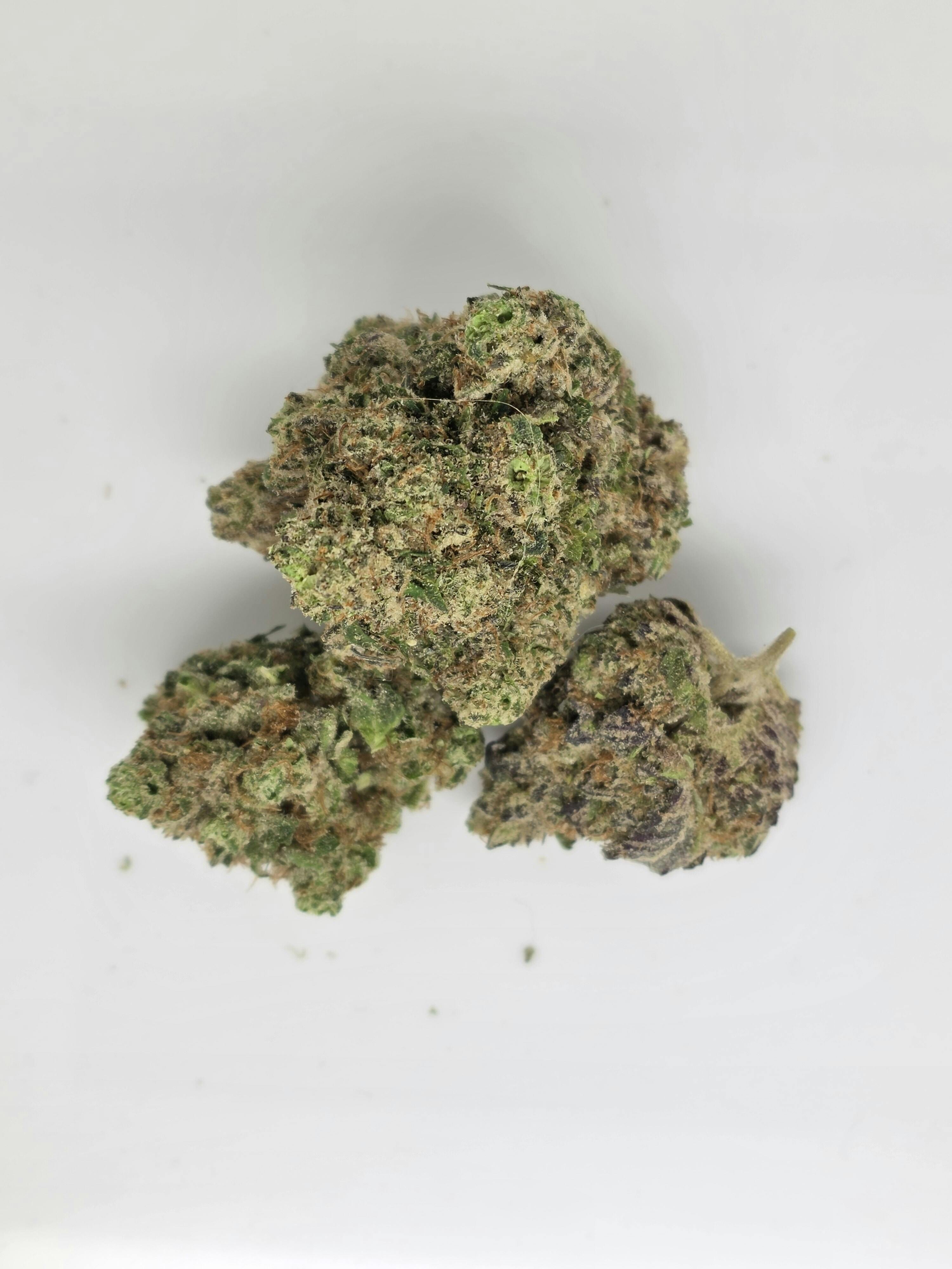 Tropical Mirage 1g Flower 20.44% THC by Alaskabuds