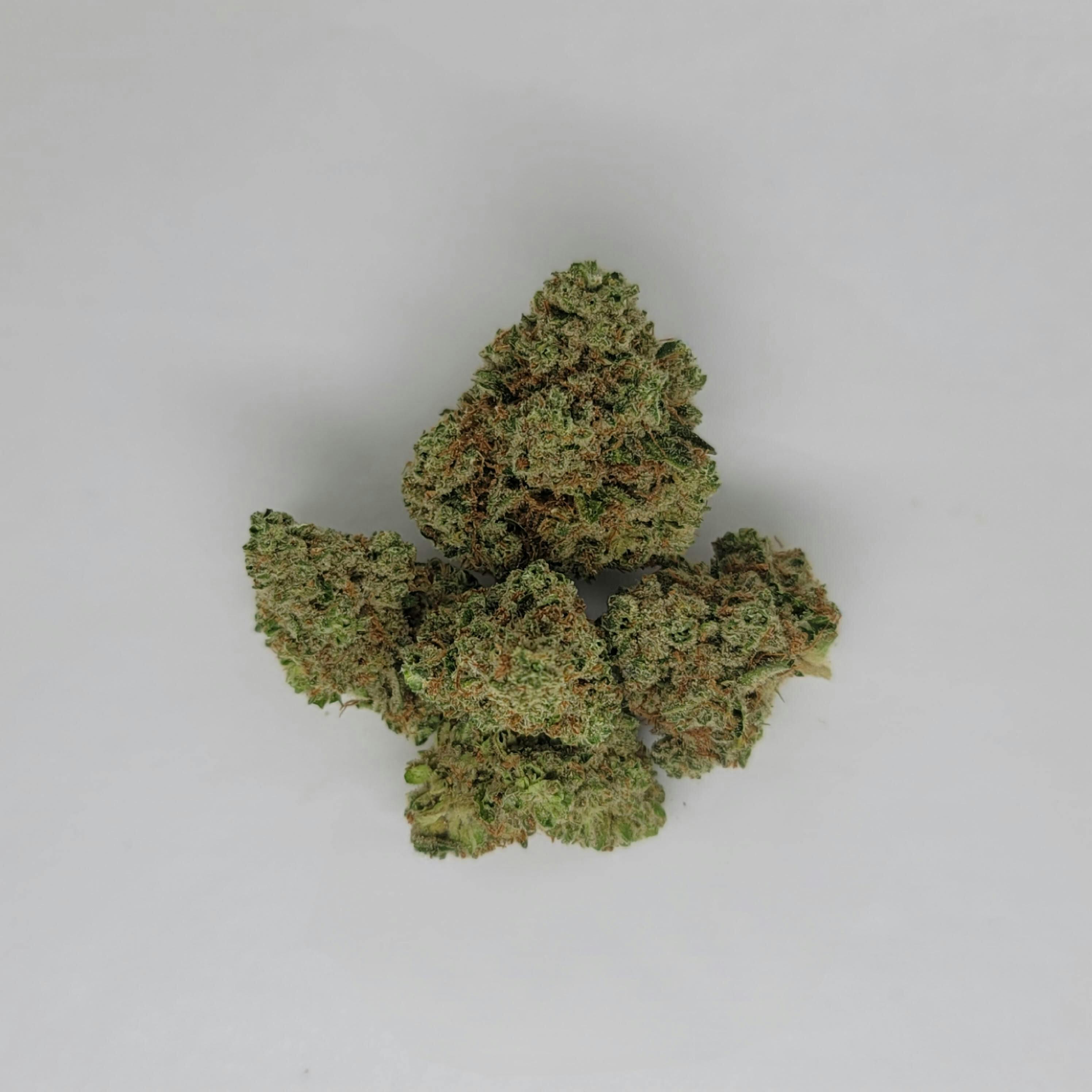 Golden Sands 1g Flower 17.61% THC by Alaskabuds
