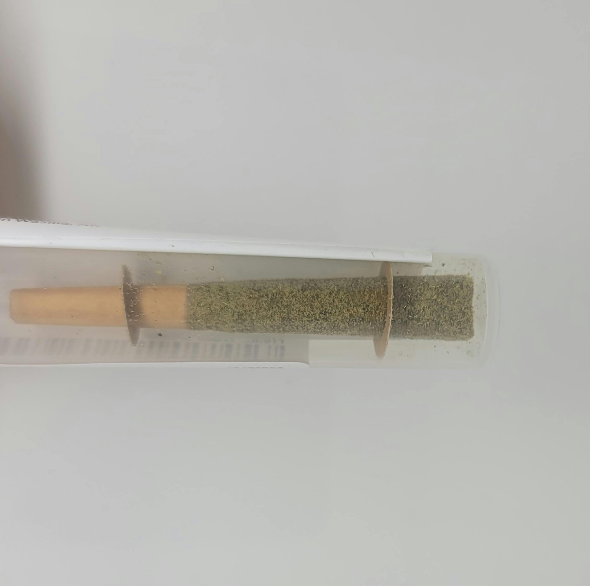 Appealing Orange 0.5g Infused Joint 30.69% THC by Kreative Konfections