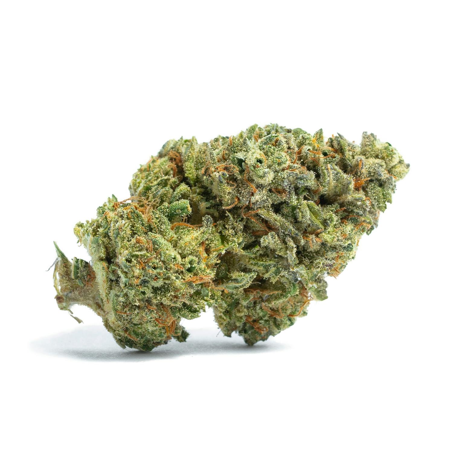 Hippie Headband 1g Flower by Dope Dynasty 31.72% THC