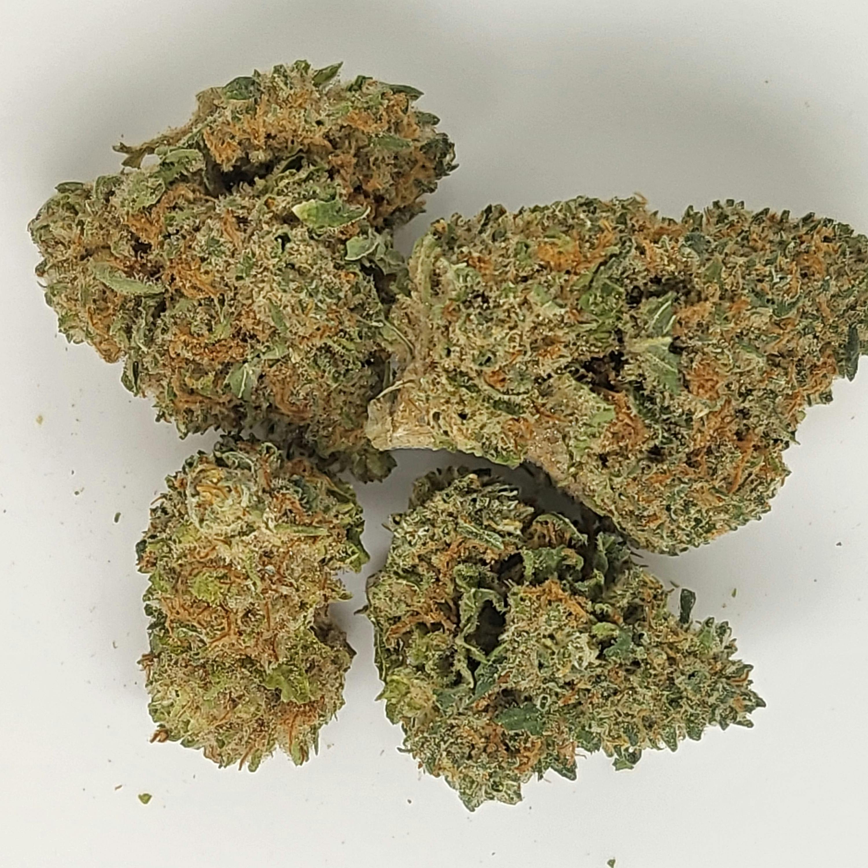 Vanilla Frosting 18.09% THC 14G Flower By ALASKAbuds