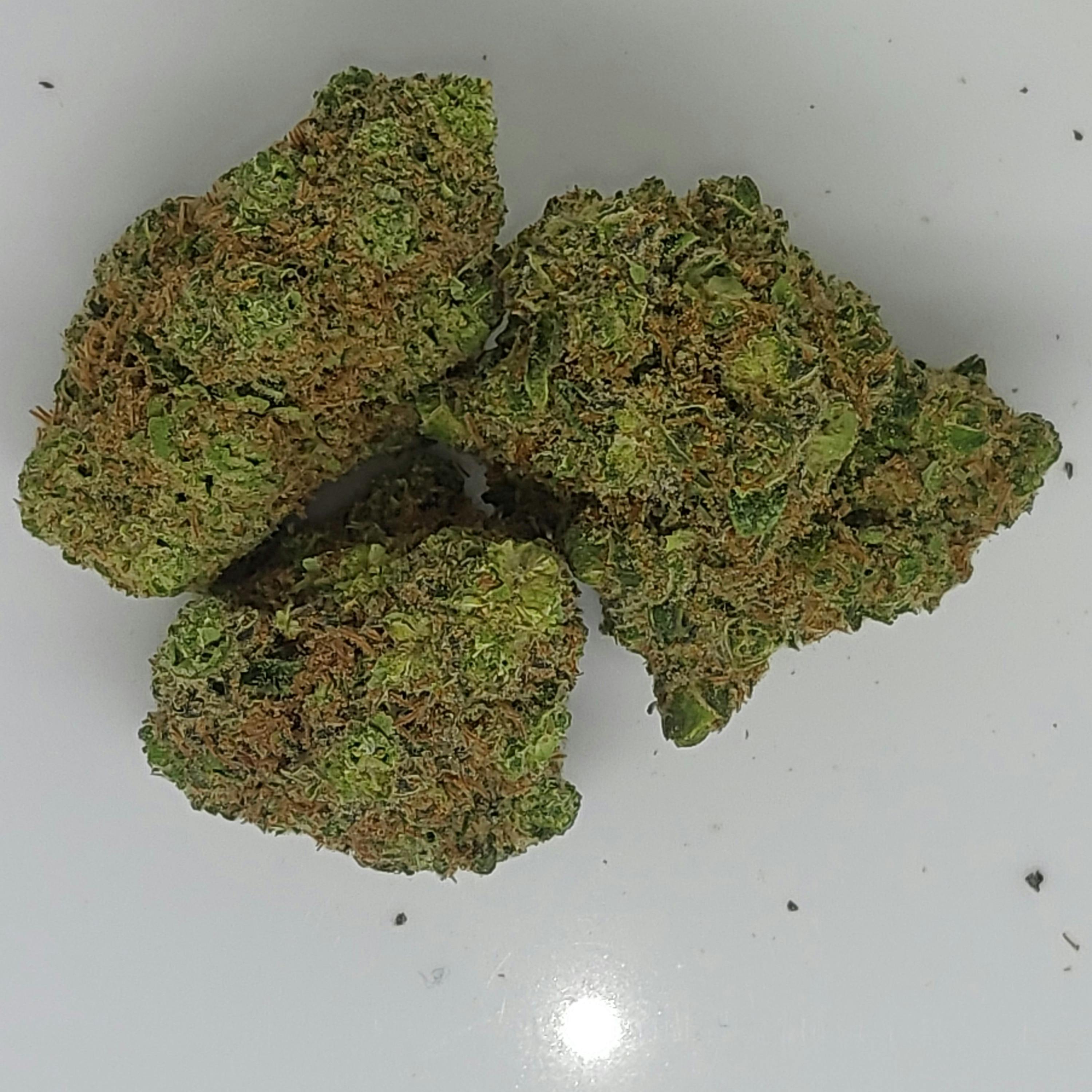 White Widow 14g Flower 20.35% THC by Alaskabuds