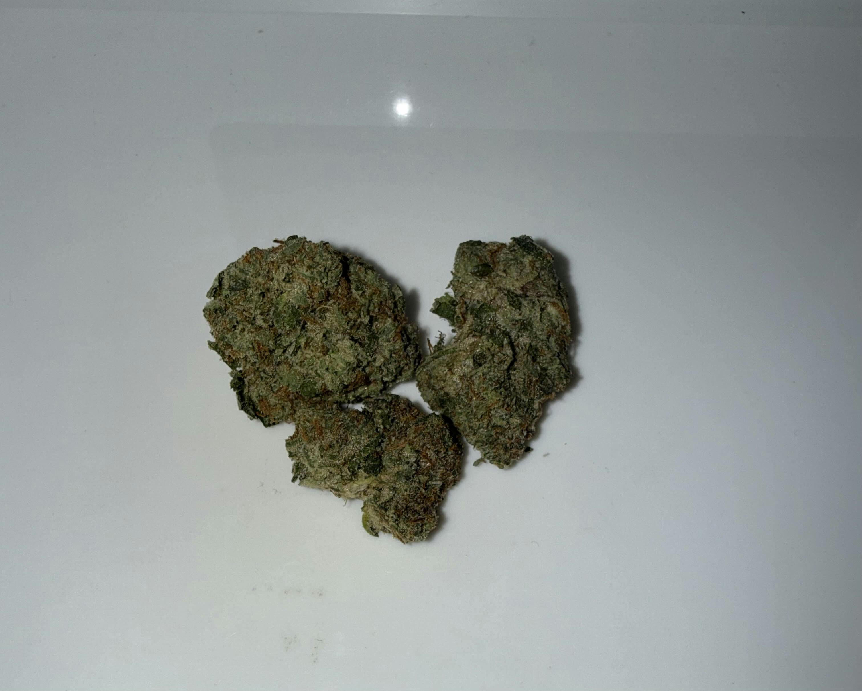 Area 41 1g Flower - 32.79% THC by Dope Dynasty