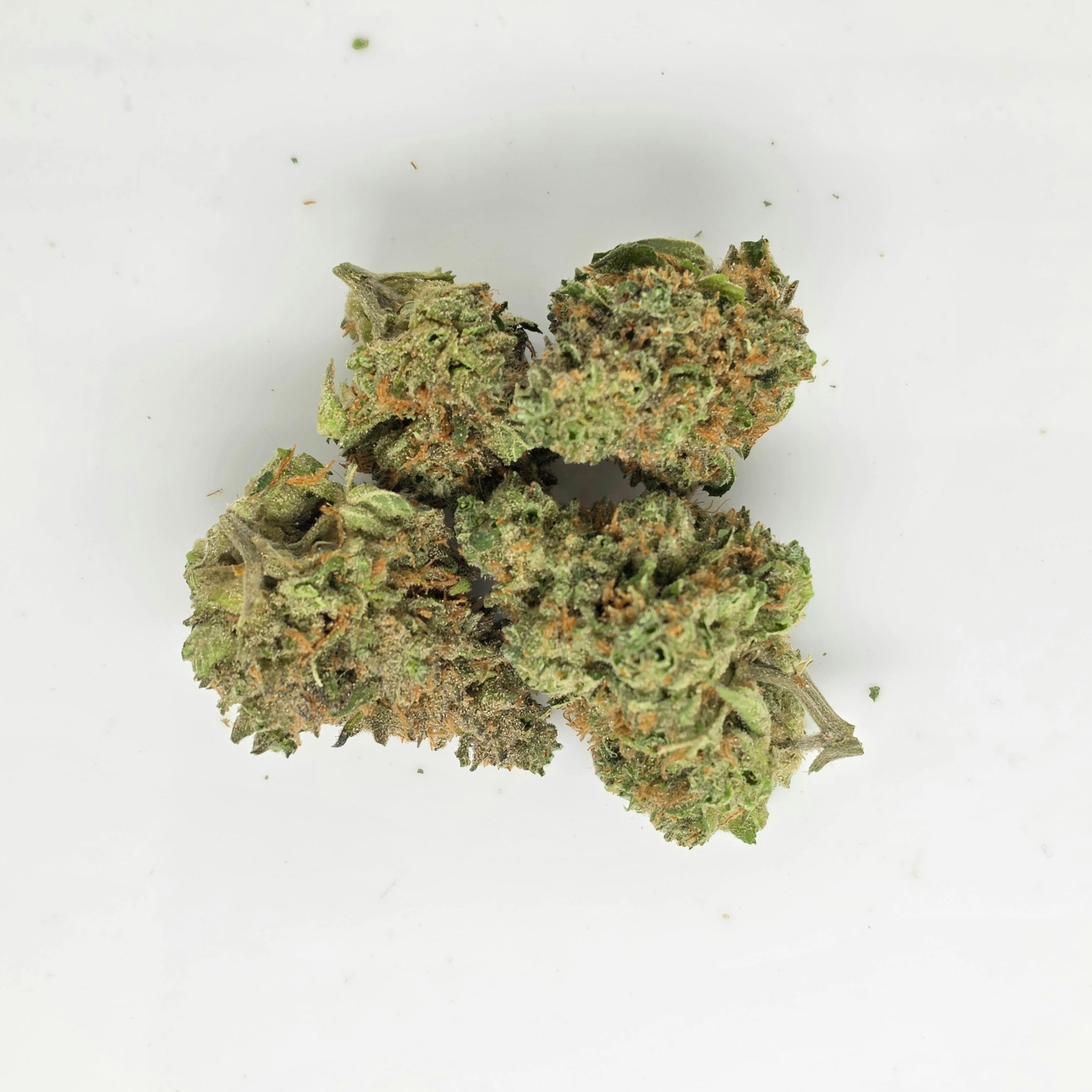 Humbolt Afghani 14g Flower 18.70% THC