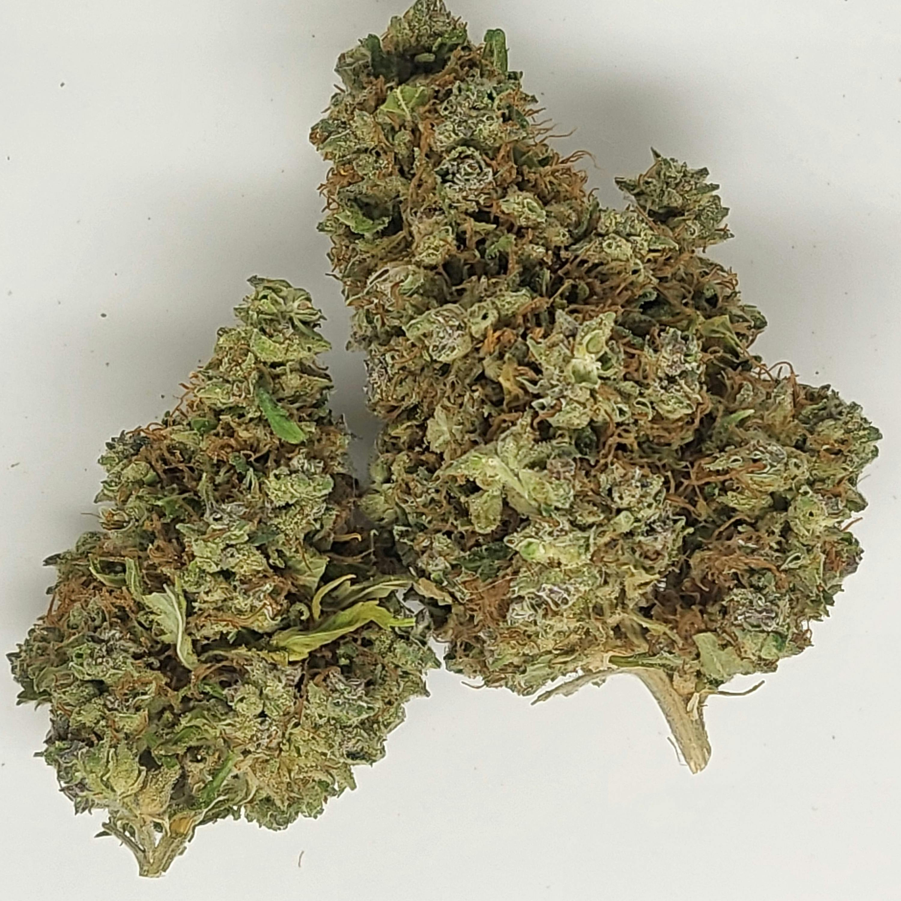 Matanuska Cherry Pie 14g Flower 19.88% THC