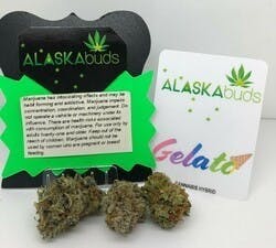 Gelato 3.5g Flower 15.31% THC by ALASKAbuds