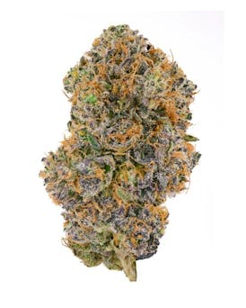 MED- Swiss Watch Full Bud oz