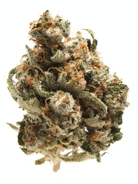 MED- Gelato Pop 8th
