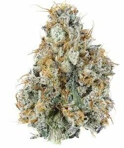 Subzero- Full Bud oz