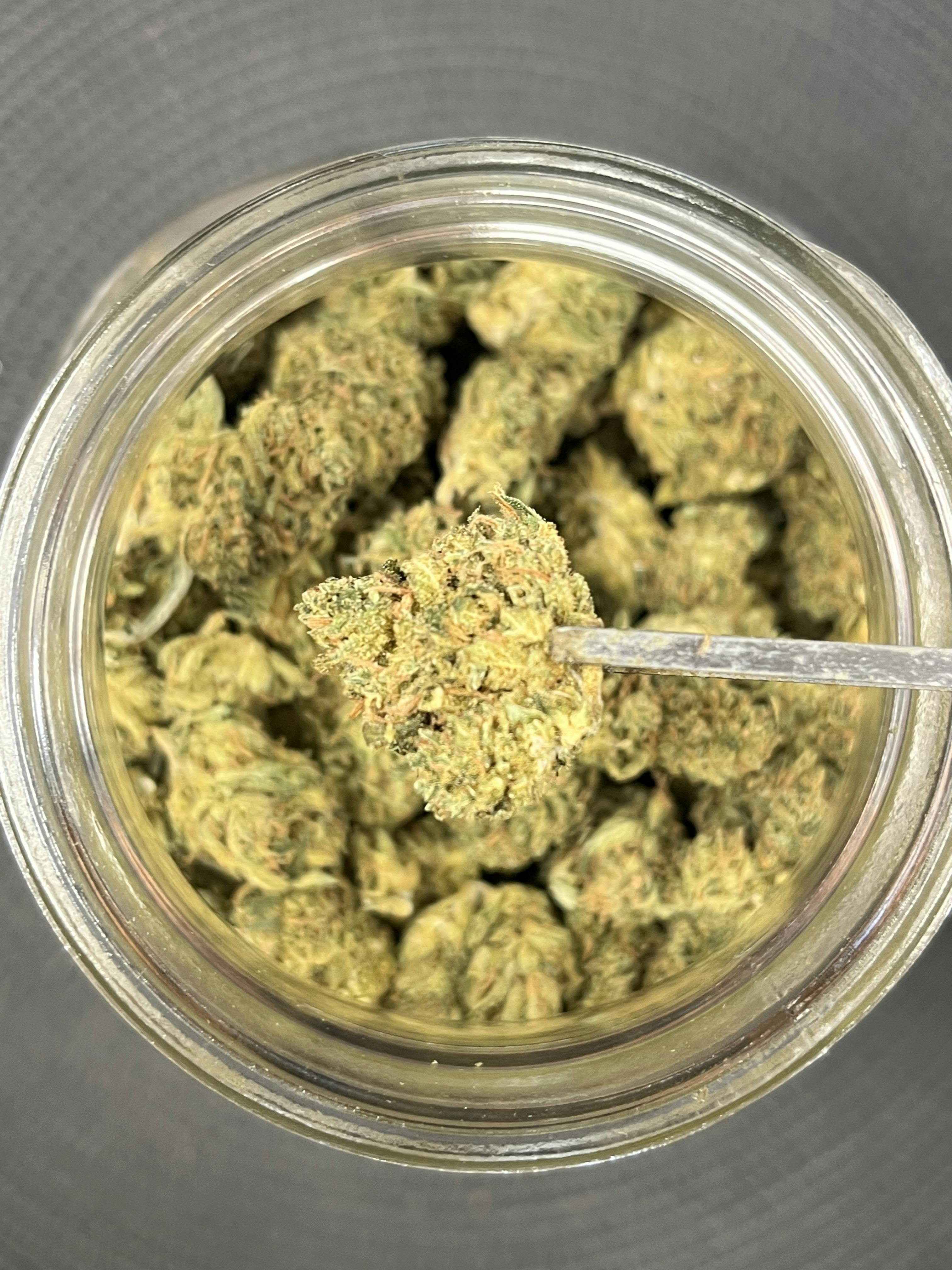 Lady Gray Moonshine Ghost Train Haze