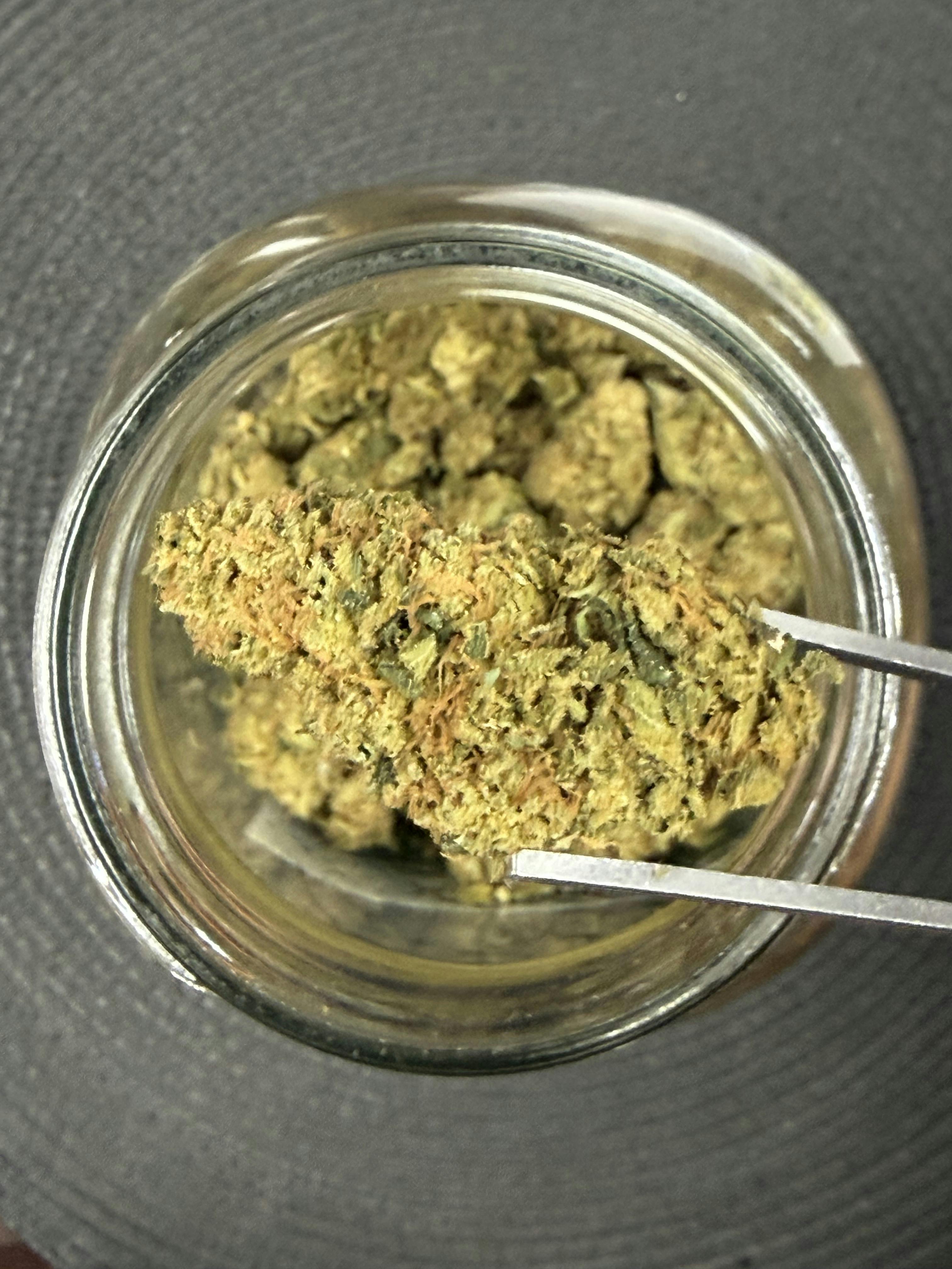 Purple Papaya Runtz