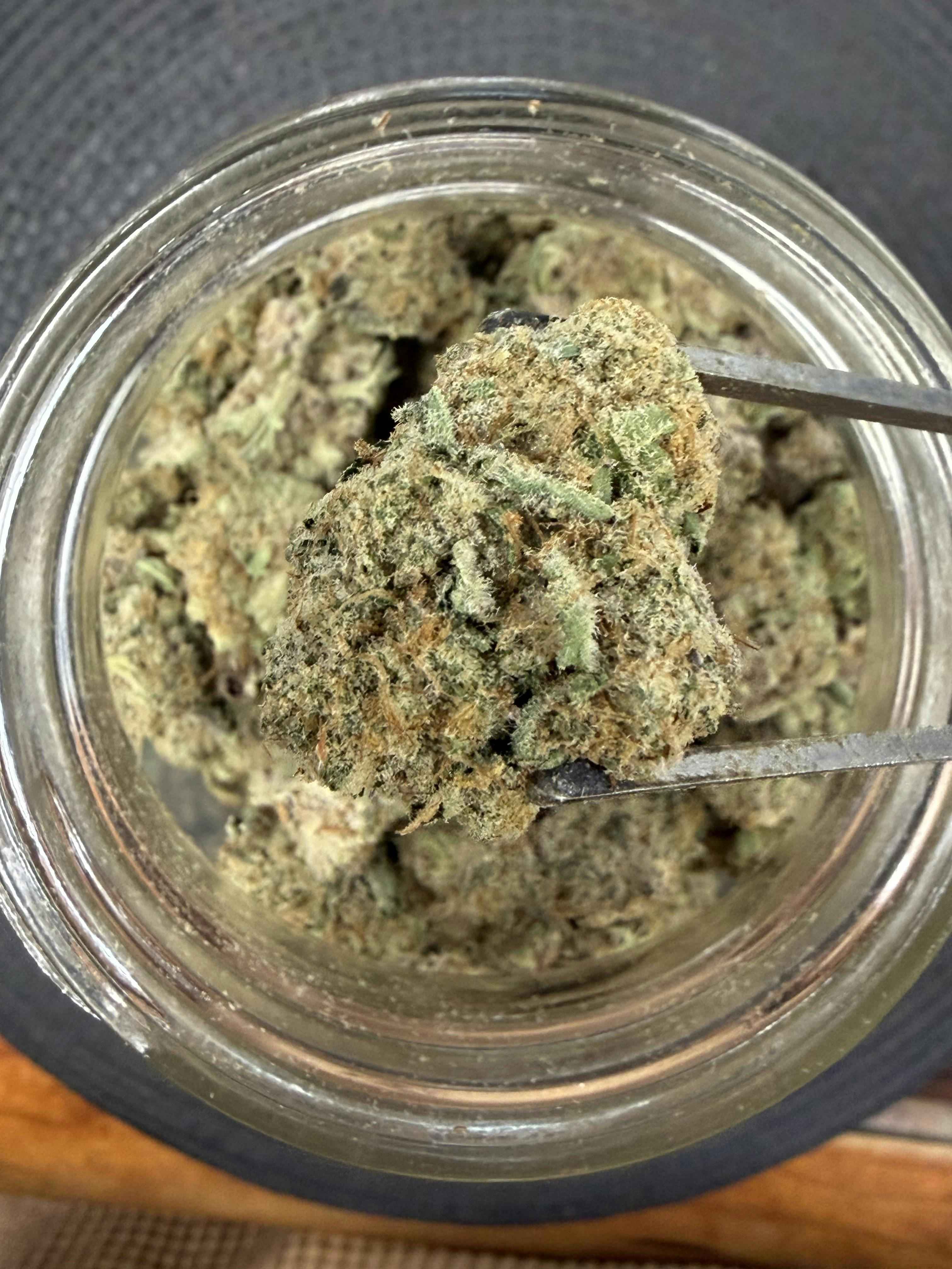 Jilly Bean