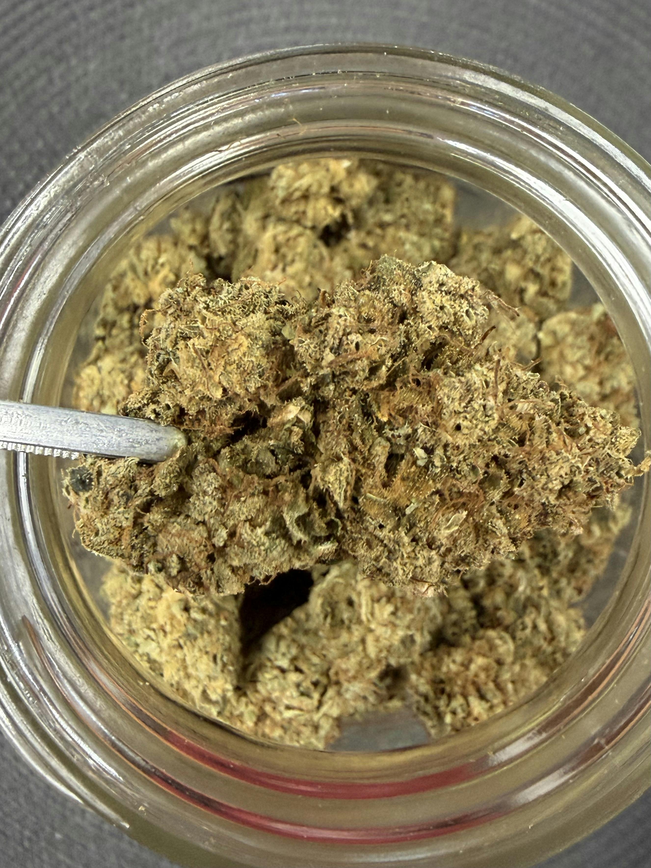 Purple Berry Kush