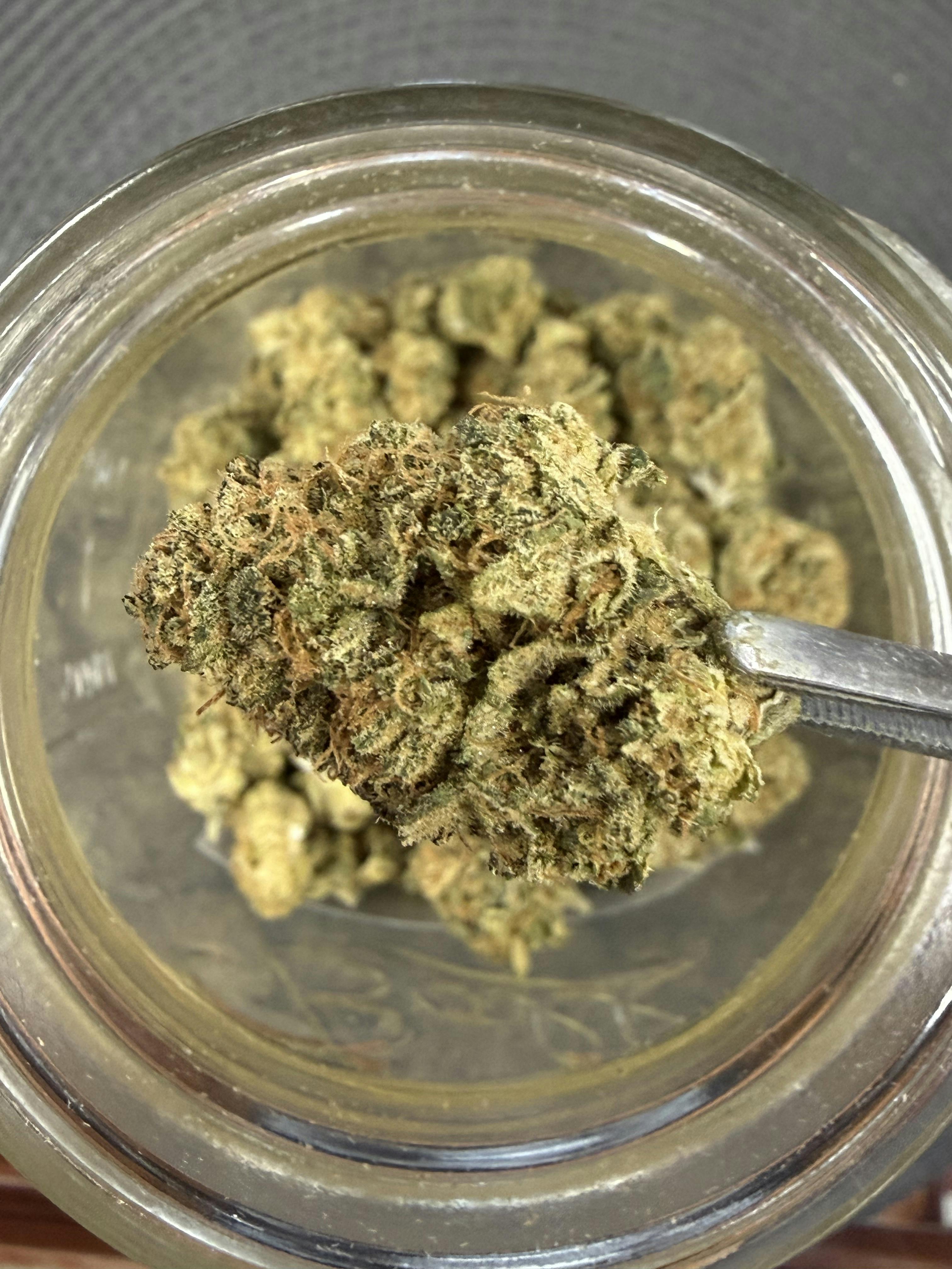 Watermelon Wonder