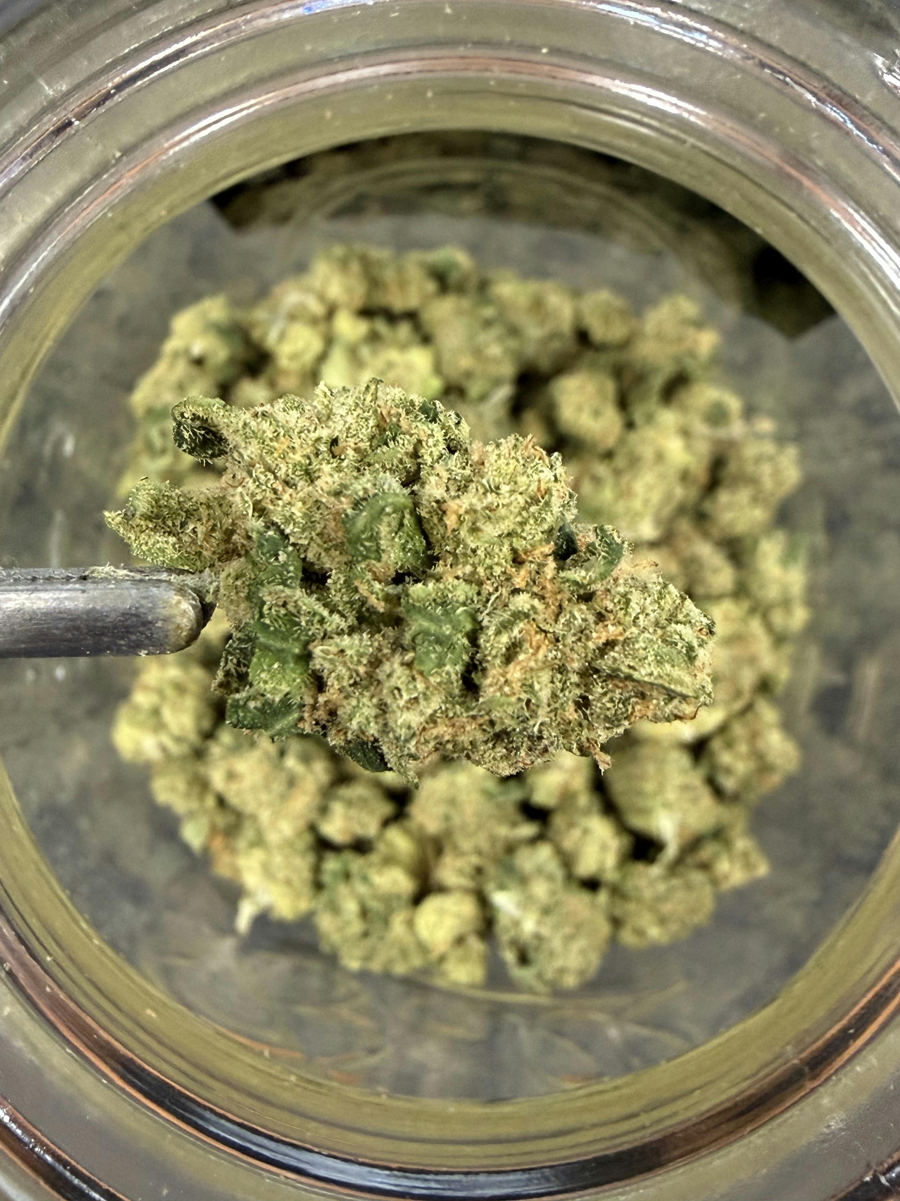Jack Herer