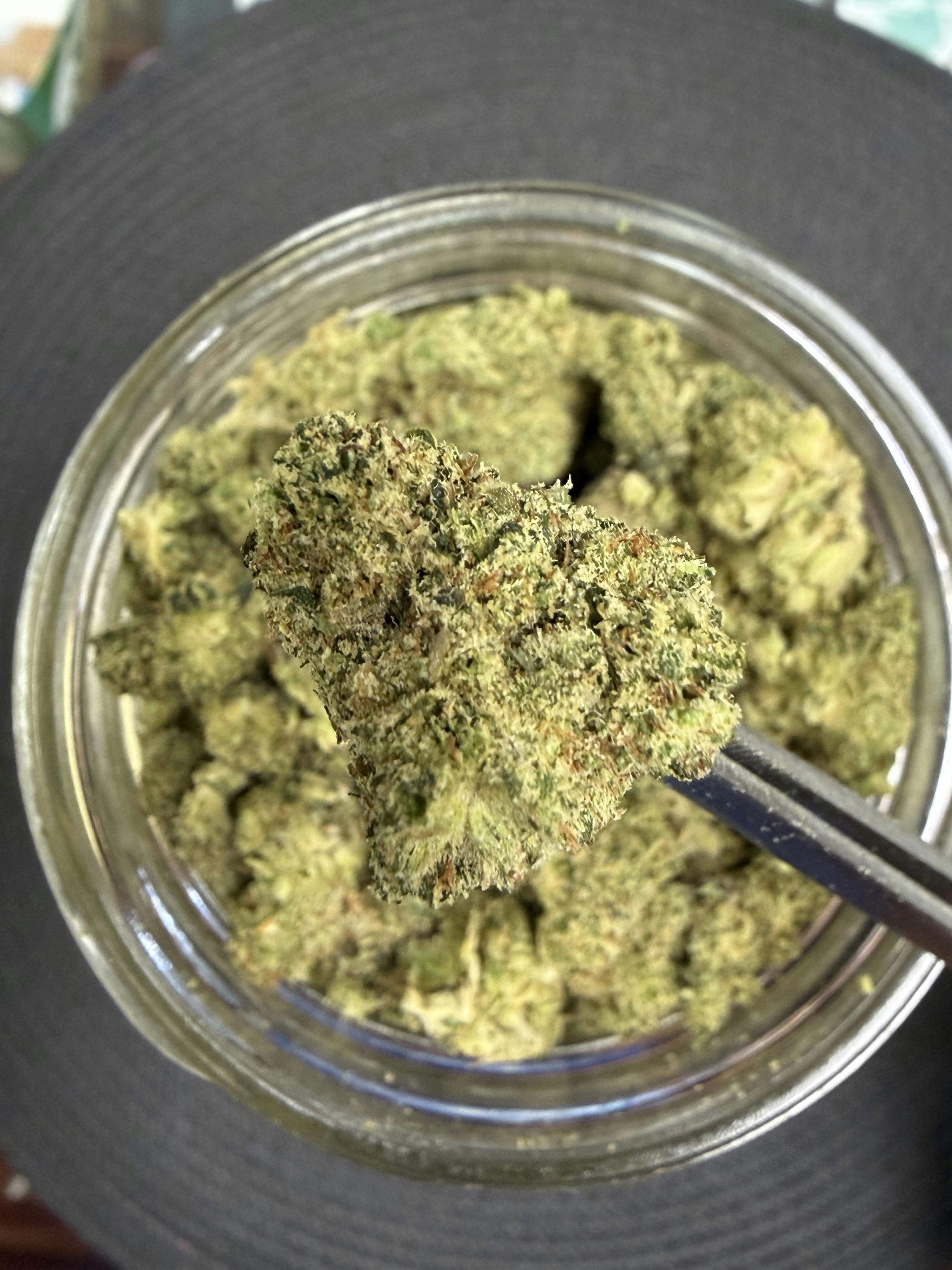 Gorilla Glue