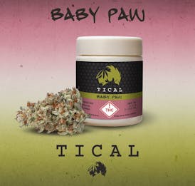 TICAL PREPACKED EIGHTH "BABY PAW"