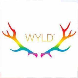 Blood Orange Sparkling Water - WYLD CBD