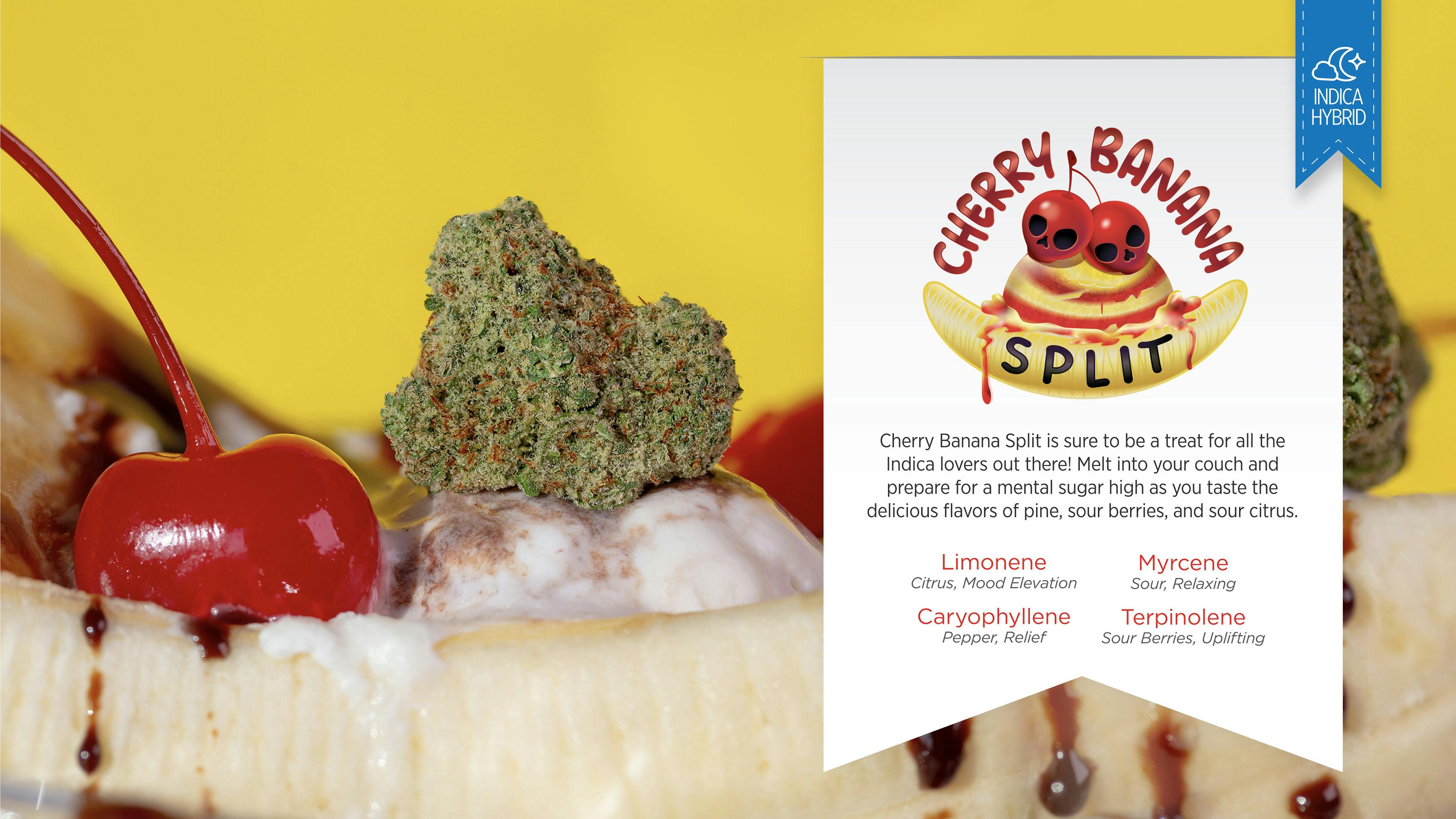 Cherry Banana Split (ind) | .5g Flower Preroll | 24.34%THC | 2.58%Terp | Great Northern Cannabis