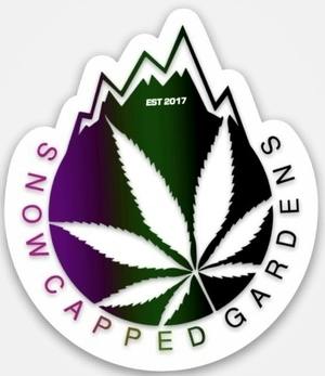Modified Mintz (ind) | .5g Flower Preroll | 28.32%THC | 1.63%Terp | Snowcapped Gardens