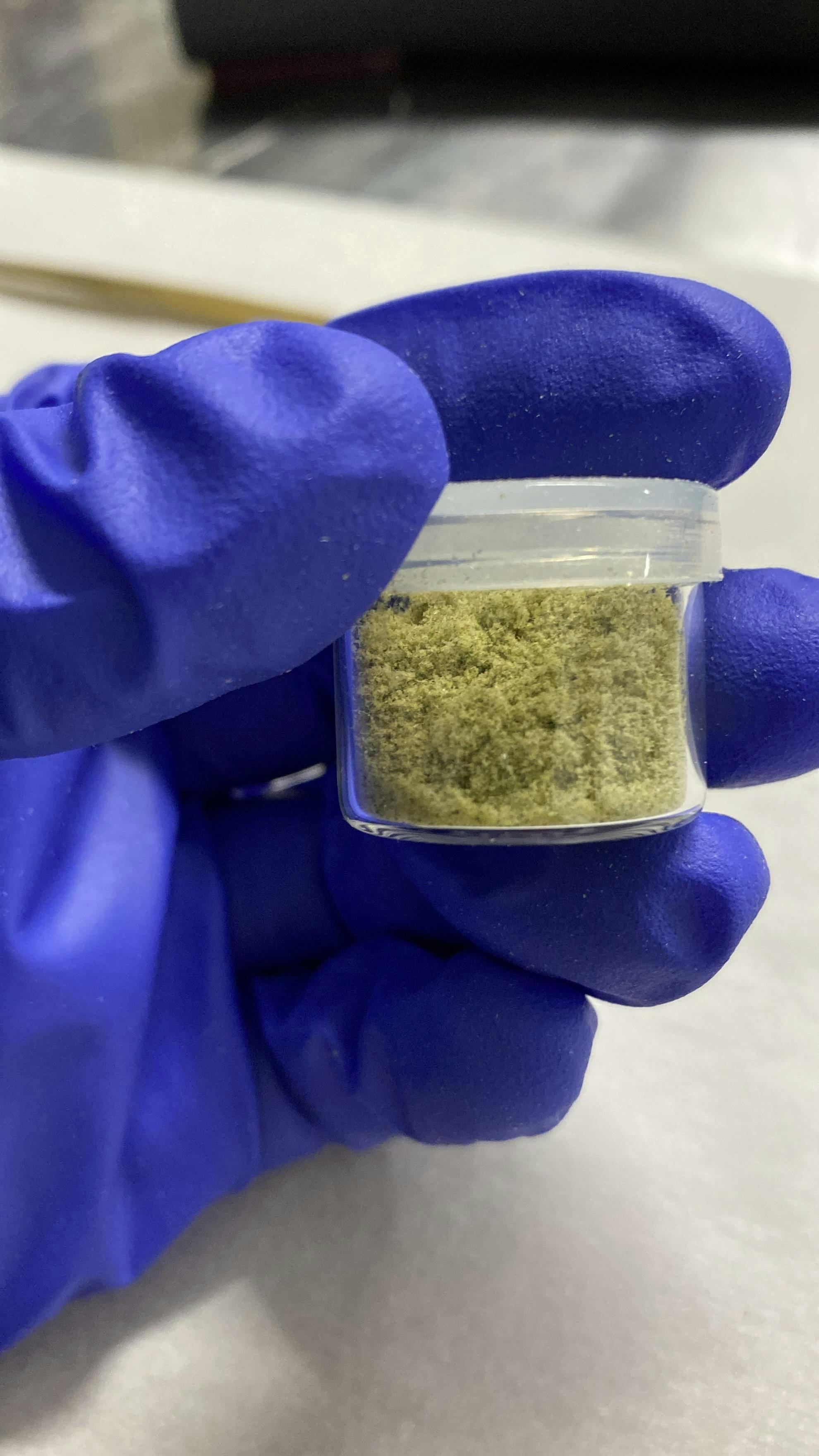 Lemon Ice Pucker (sat) | 1g Kief | 45.74%THC | Terp not tested | DDIII