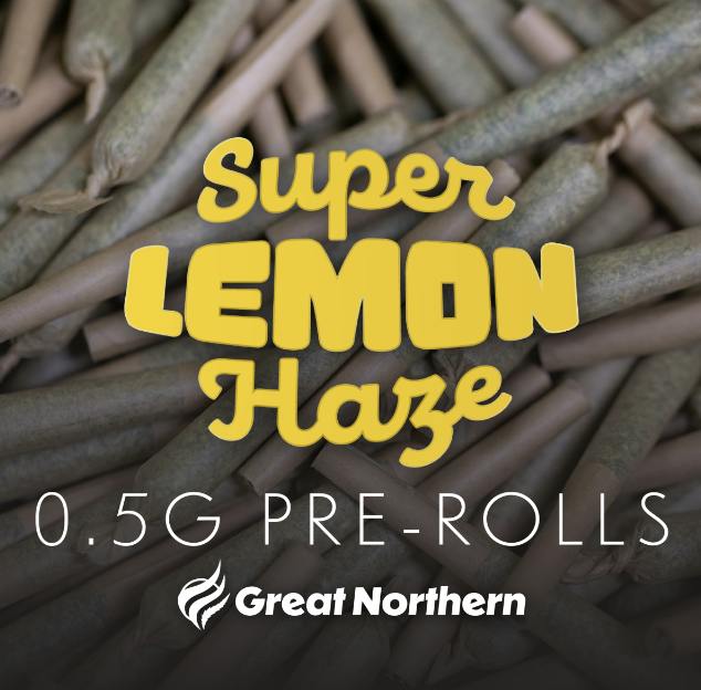 Super Lemon Haze (sat) | .5g Flower Preroll | 21.60%THC | 1.83%Terp | Great Northern Cannabis