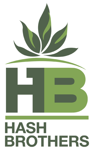 Hash Brothers Shatter 1G at Beaver Bowls Cannabis Showroom