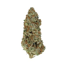 Faded Cannabis Co. - Sub Zero