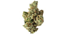 Upstate Gardens - SFV OG