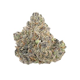 Fumar - Headband