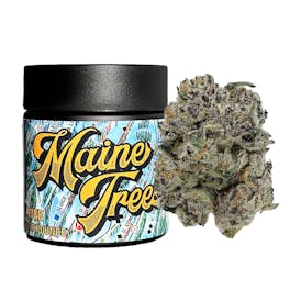B's Trees - Blue Lobster