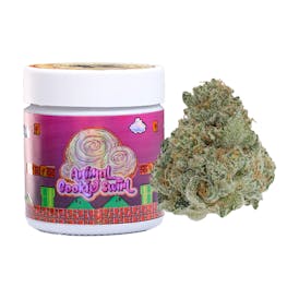 44 North - Animal Cookie Swirl