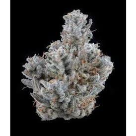 Brave Boat Gardens - GG4