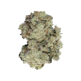 Casco Botanicals - Medillian