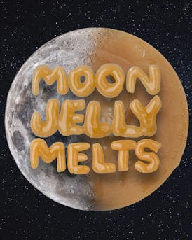 Moon Jelly Melts - Live Rosin: Headband x ChemdogD (2g)