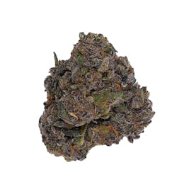 Fumar - Black Phoenix