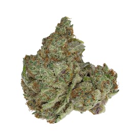 Stella's Farm - Mimosa