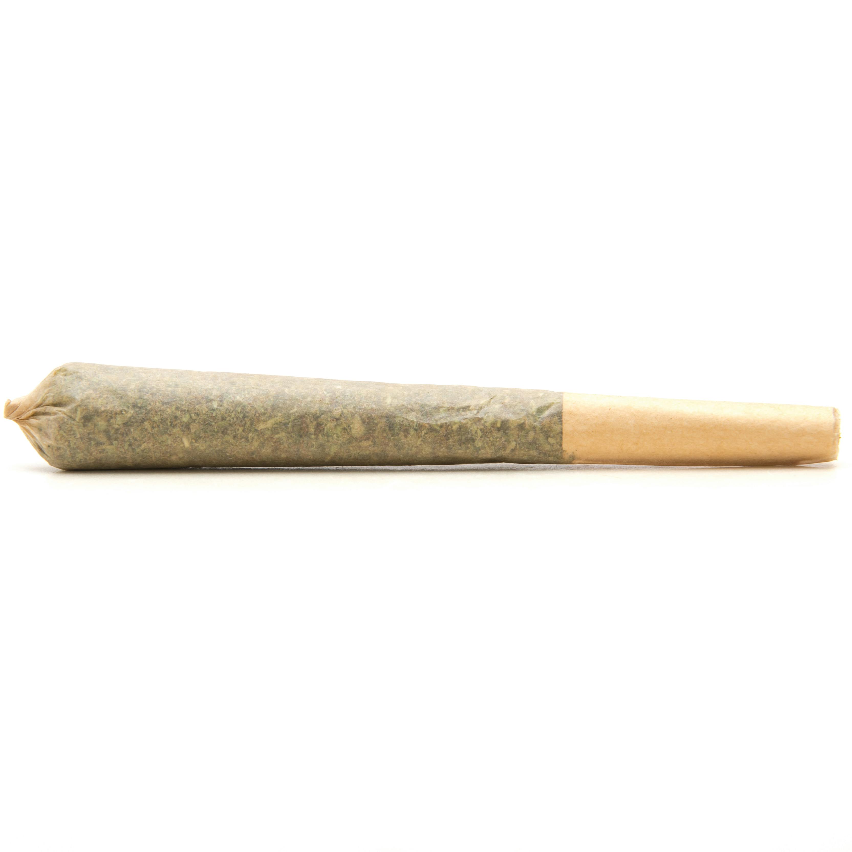 Dream Single at NORTHERN LIGHTS INDOOR GARDENS Weed Dispensary