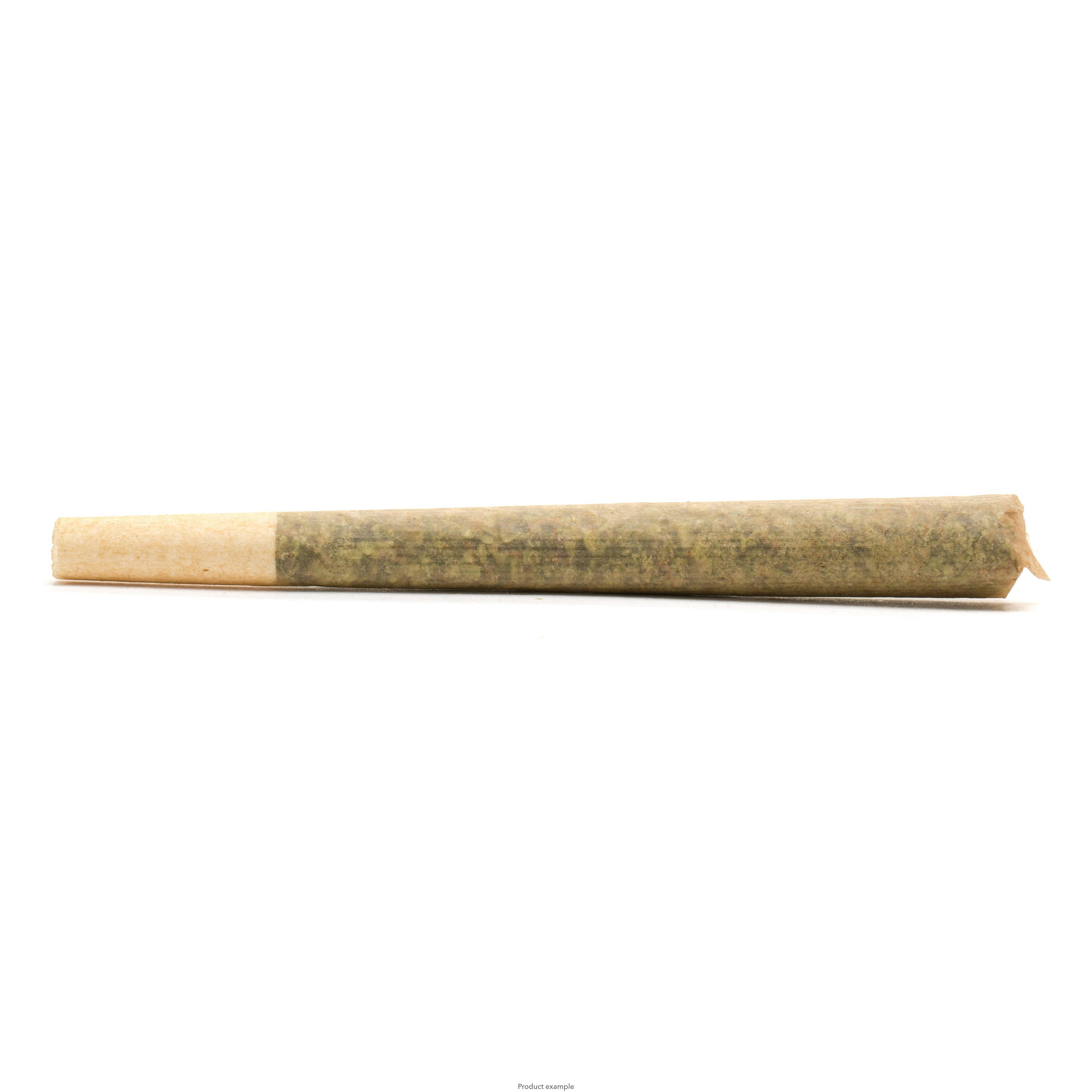 GMO Cookies Trim Single at NORTHERN LIGHTS INDOOR GARDENS Weed Dispensary