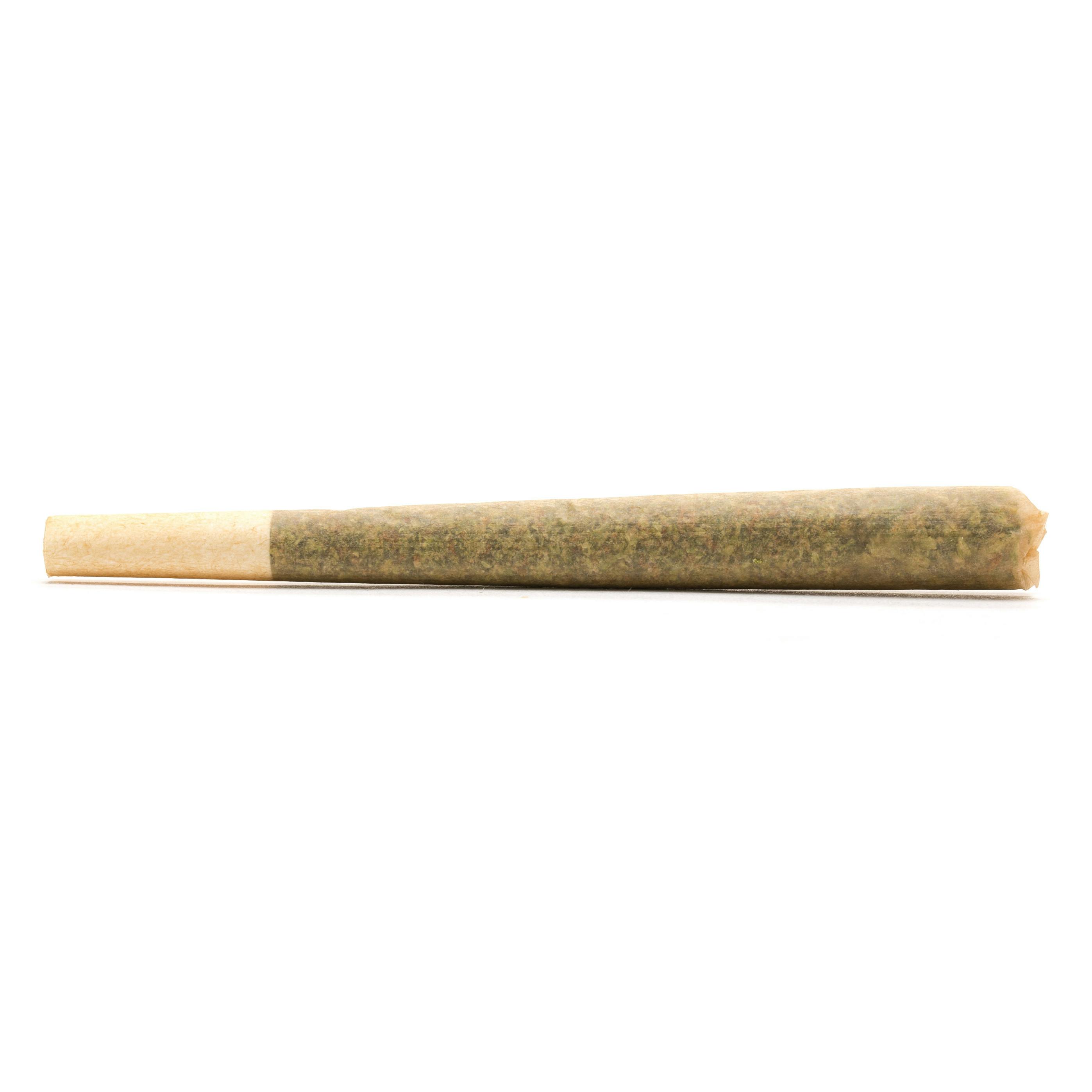 Jelly Donutz Single at NORTHERN LIGHTS INDOOR GARDENS Weed Dispensary
