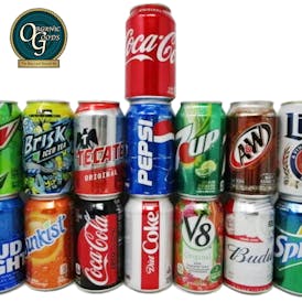 Diversion Safe Stash Cans