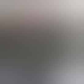 Organic Goods Bic Lighter