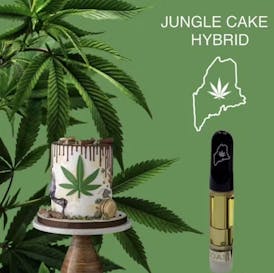 High Coast Cartridge Jungle Cake 1 G