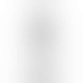 Elevate Alcohol-Free Mushroom Tincture Chaga 2 OZ