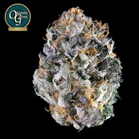 Blueberry 33 cultivated by Green Lion